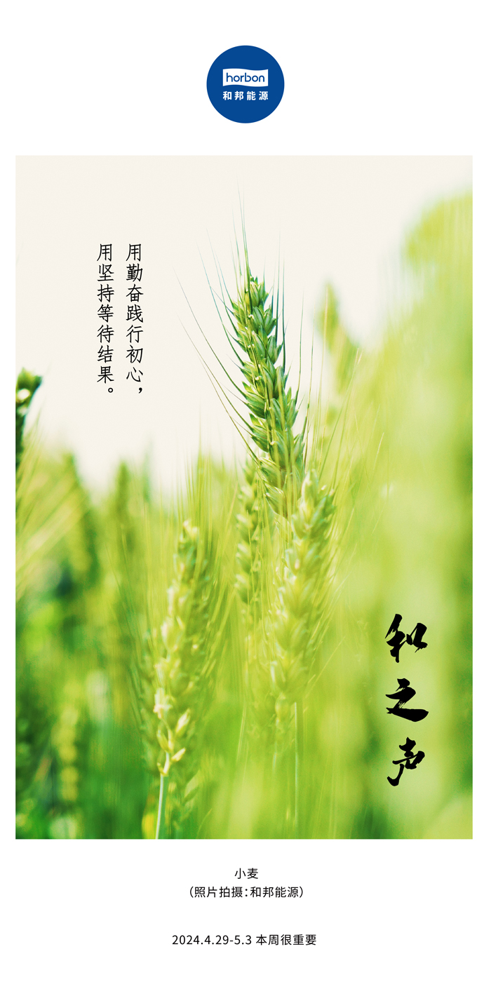 【和之声】用勤恳践行初心，用对峙期待了局。（总第132期）2024.4.29-5中文改幼季度推送用.jpg