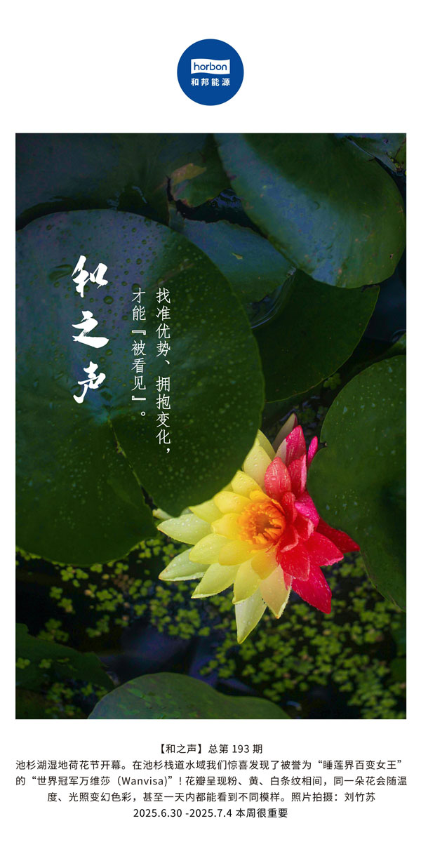 【和之声】找准优势、拥抱变动，能力“被看见”。(总第193期）--2025.6中文导出季度推送用.jpg