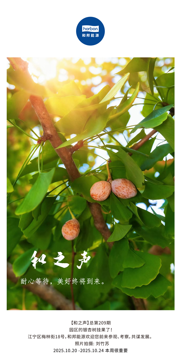 【和之声】耐心期待，美好终将到来。-(总第209期）2025.10.20中文导出季度推送用.jpg
